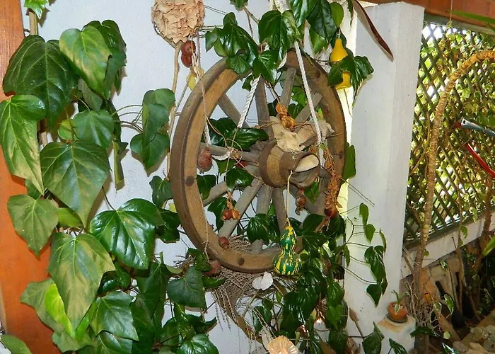 And Darinka Apartment *