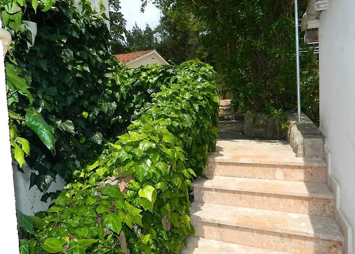 And Darinka Apartment
