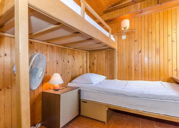 Apartment And Darinka